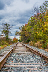Obraz premium The railway track is surrounded by forest under a cloudy sky