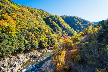 保津峡駅から望む秋の保津峡