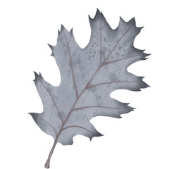 Naklejka premium watercolor halloween leaf