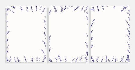 lavender frames vector background set