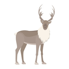 Vector illustration of reindeer isolated on background.