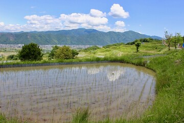 Obasute Rice Fields, Nagano, Japan