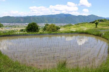 Obasute Rice Fields, Nagano, Japan