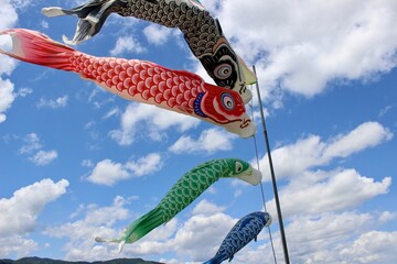 Koi Nobori Carp Streamers for Children's Day