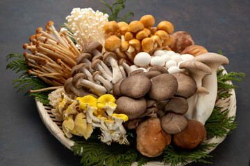 たくさんの種類のきのこ