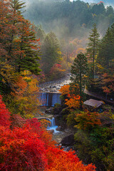 autumn in the mountains