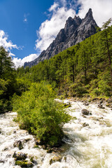 Vertical image with copy space for text, mountain river. A scenic view of a Daocheng Yading landscape on the background of mountains covered with snow