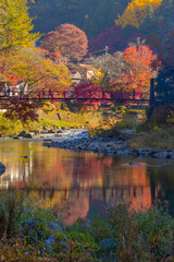 autumn in the park