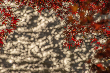 red christmas tree