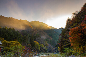 morning in the mountains