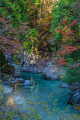 waterfall in the forest