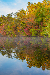 autumn in the park