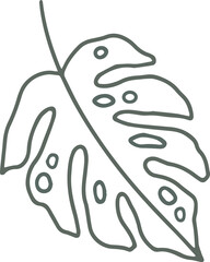 summer tropical leaf 
