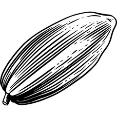 Hand drawn Cacao Sketch Illustration