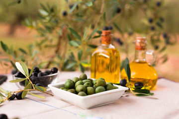 still life of olives and oil on a table against a background of olive trees