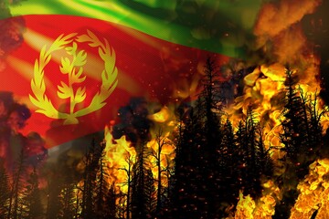 Forest fire natural disaster concept - burning fire in the trees on Eritrea flag background - 3D illustration of nature