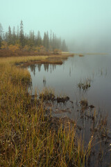 By Svartdalstjern Lake. Image from a trip to the Svartdalstjerna Forest Reserve of the Totenaasen Hills, Norway, in autumn.