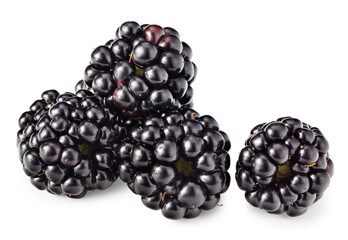 blackberries isolated on white background. full depth of field. macro. clipping path