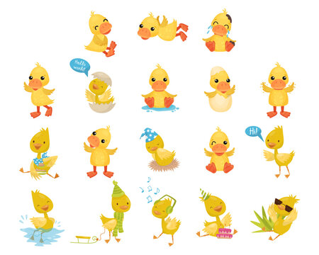 Cute Little Duckling with Yellow Feathers Engaged in Different Activity Big Vector Set