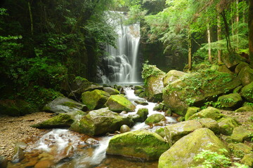 苔むした岩と滝