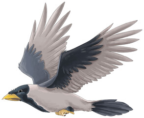 Cartoon exotic colorful bird flying isolated illustration for children