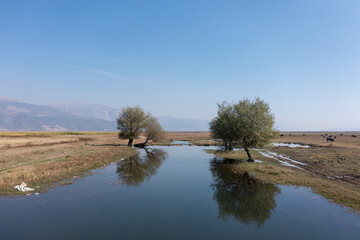 Landscape with a river in the country. Reflection of trees seen on the calm water