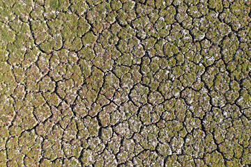 Extreme drought condition on a lake. Climate change, global warming concept