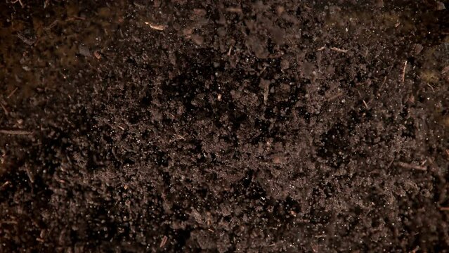 Super Slow Motion Shot of Exploding Soil Towards Camera at 1000fps.