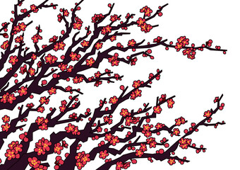 illustration of red plum blossoms	