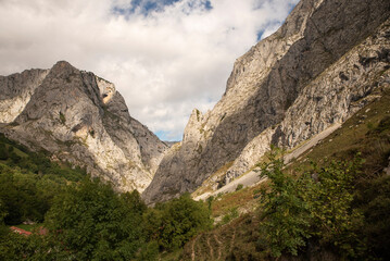 Fototapeta na wymiar mountains of the picos de europa