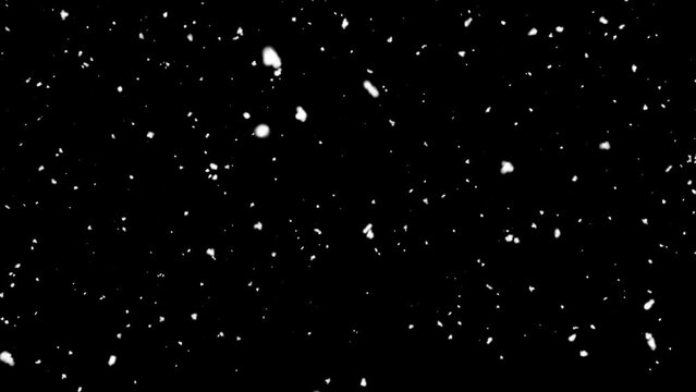 snow falling on black background