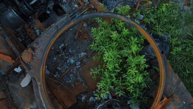 War in Ukraine, Remains of Destroyed and burned by Ukrainian army,  russian battle tank of the Russian invaders after counteroffensive