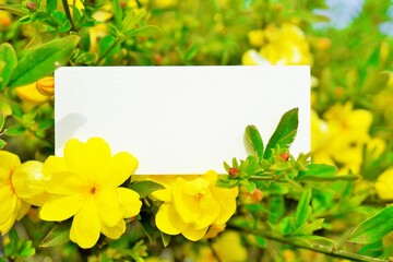 黄色いウンナンオウバイの花を背景にしたメッセージカードのモックアップ
