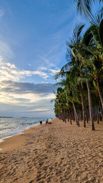 Dongtan Beach Pattaya Jomtien Thailand, palm trees on the beach during sunset. 