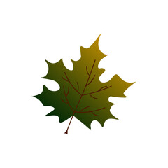 Maple autumn leaf. Vector illustration. For the design of prints, cards, flyers, clothing, packaging, brochures and covers.