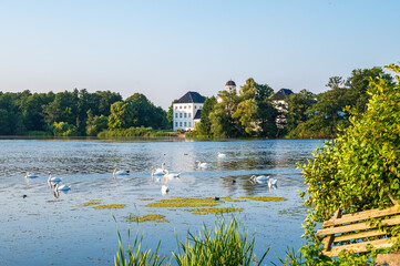 Fototapete bei efototapeten.de bestellen   