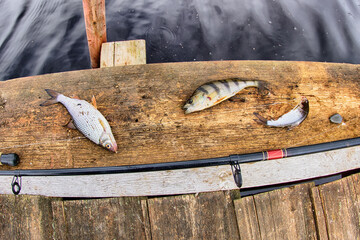 Village fishing - a joyful set. Two roaches and a perch were caught and one ledgering rod. Fish on...