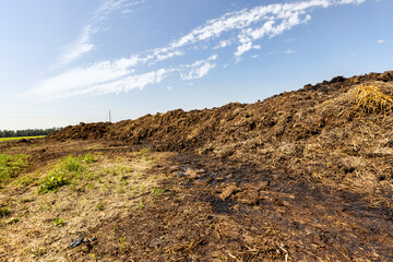 Manure for fertilizing the soil in the field