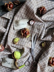 Autumn flatlay with chestnut, old burnt tags and old scissors on the rustic apron background. Autumn concept with chestnuts. 