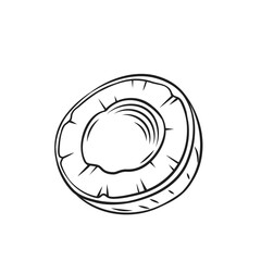 Half coconut outline icon vector illustration. Hand drawn black line organic coco fruit with round cut for cooking exotic food, making butter oil and fresh milk in kitchen, coconut summer dessert