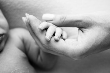 Close-up of a baby's small hand with tiny fingers and arm of mother. Newborn baby holding the finger of parents after birth. The bond between mother and child. Happy family concept. Black and white.