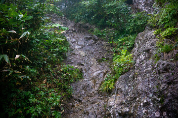 戸隠山の登山道　鎖場