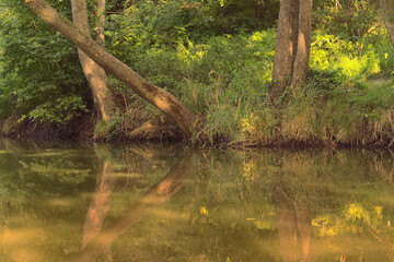 Autumn landscape with river and trees with reflection in water.
