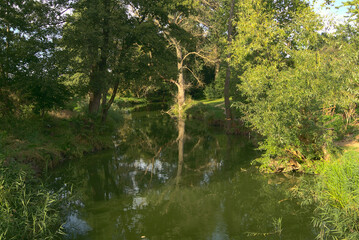 Autumn landscape with river and trees with reflection in water.
