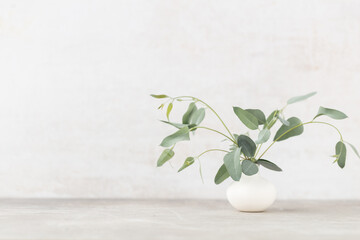 Green eucalyptus leaves in vase. Front view. Place for text, copy space, mockup.