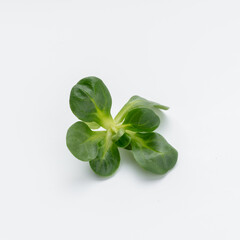 Obraz premium Corn Salad Leaves isolated on white background.