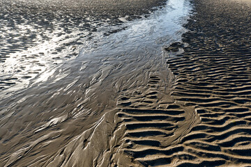 the beach at low tide in De Panne, Belgium

