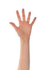 Female hand showing five fingers isolated on transparent background