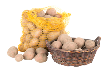 Potatoes in a bag and a basket