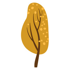 Orange tree with falling leaves. Yellow tree crown. Withering plant with golden foliage. Tree losing leaves Isolated on white background. Autumnal season golden garden tree foliage. Season changes